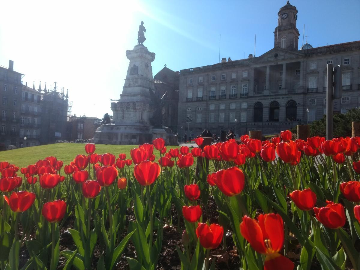 Merc Porto Ribeira'S Place Luaran gambar
